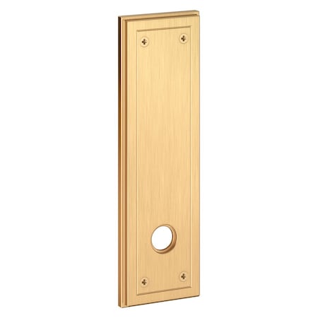 Baldwin Passage Rosettes Vintage Brass R051.033.PS